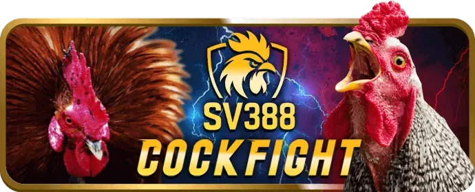 Cá cược tennis SP88
